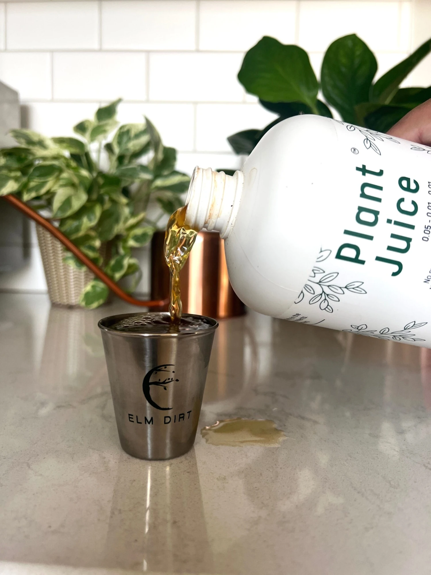 Elm Dirt Plant Juice - Image 3