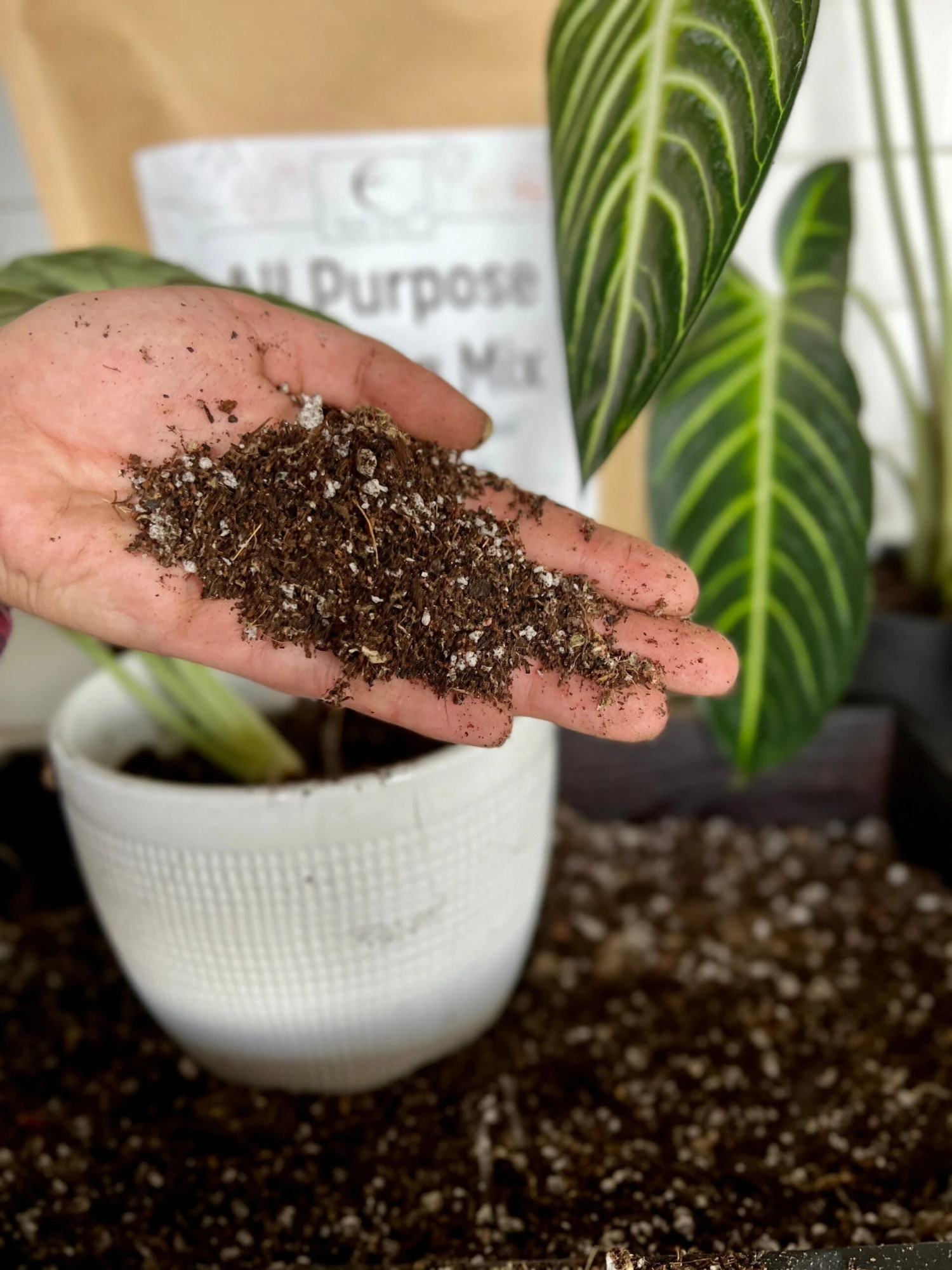 Elm Dirt All-Purpose Potting Mix - Image 2