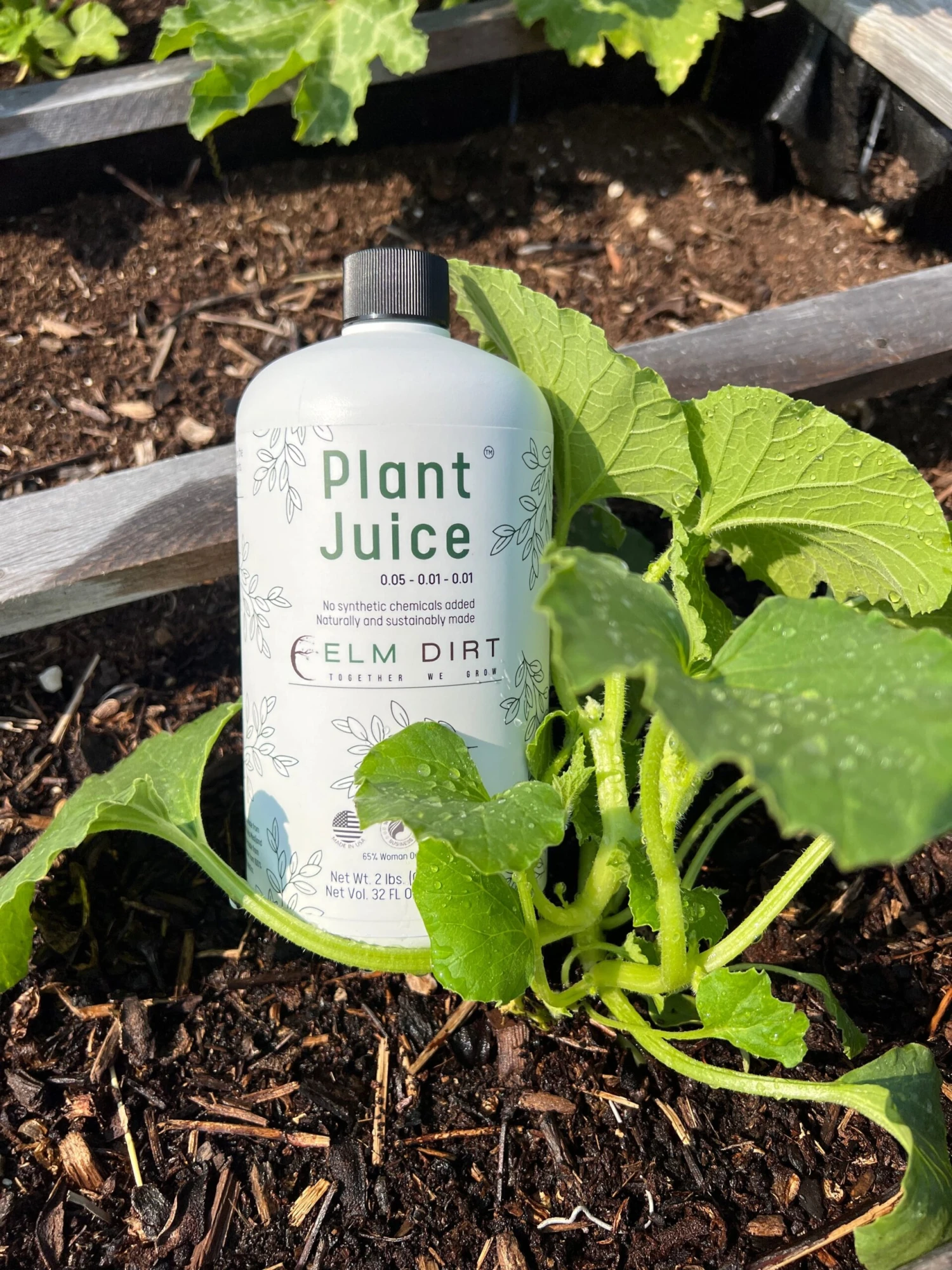 Elm Dirt Plant Juice - Image 2