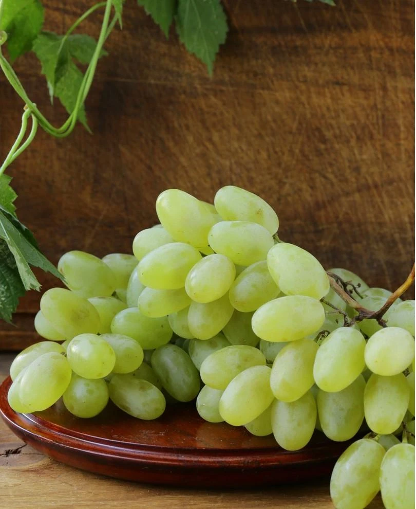 Gratitude Seedless Grape