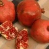 Red Silk Pomegranate