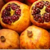 Sirenevyi Pomegranate